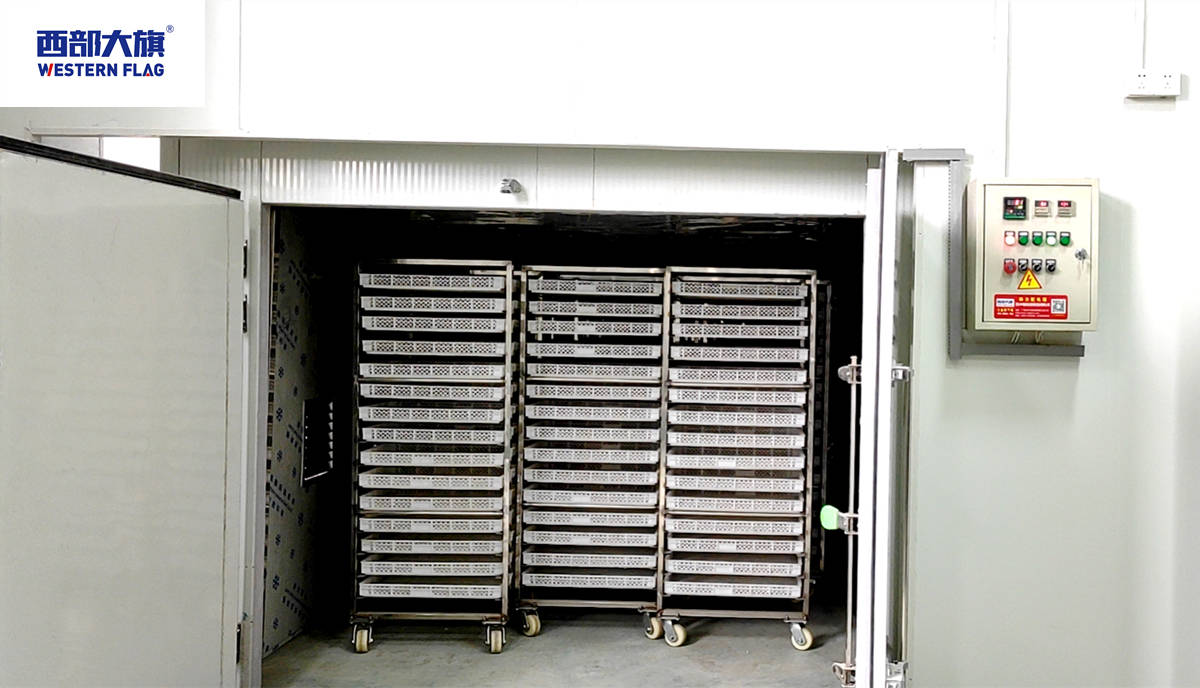 四川西部大旗金丝皇菊烘干房烘干工艺解析