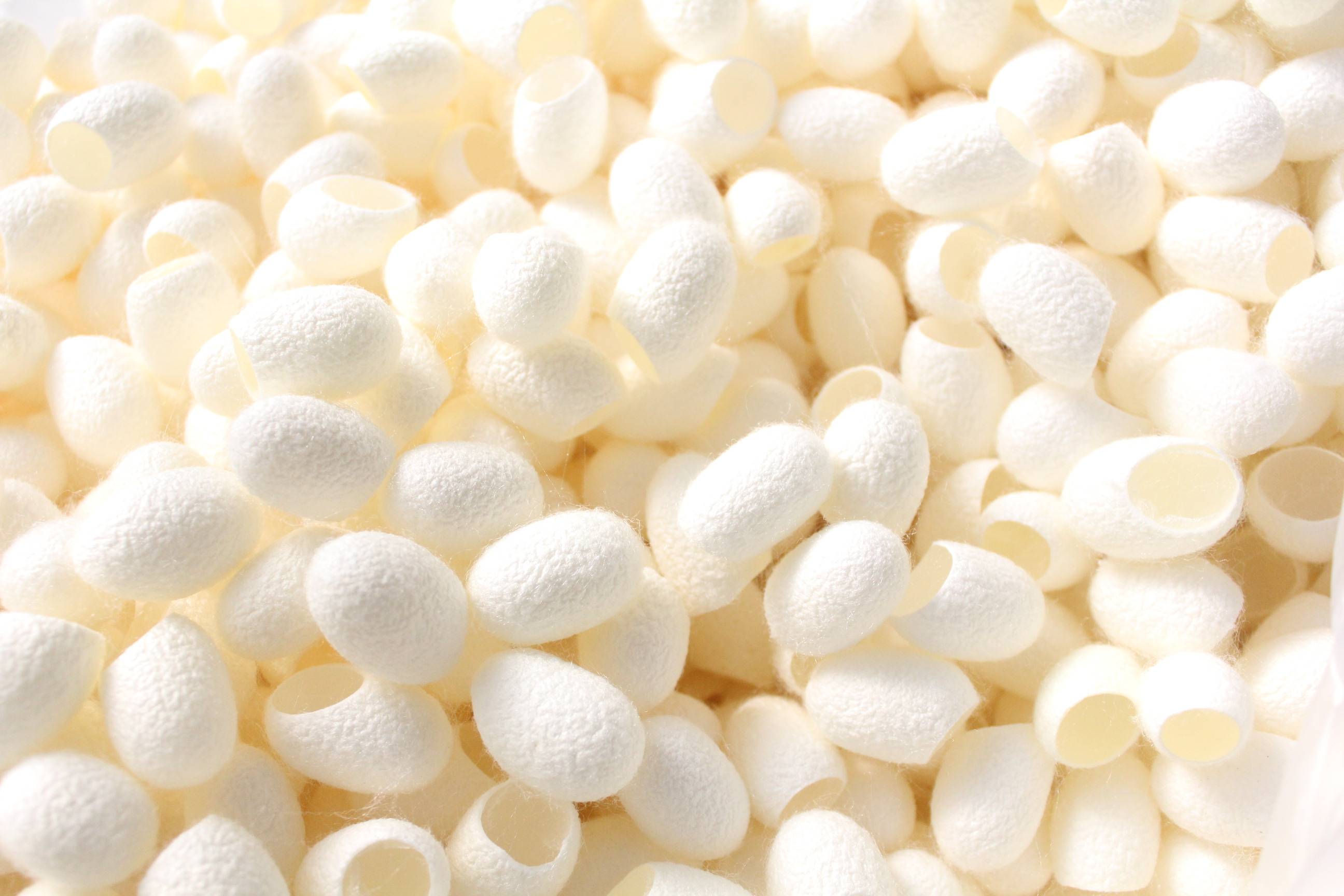 蚕丝为什么比其他面料低5℃?