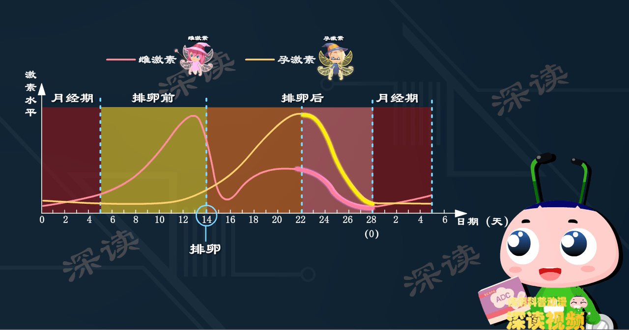 事后避孕成功率有多高?趣味解读紧急避孕药