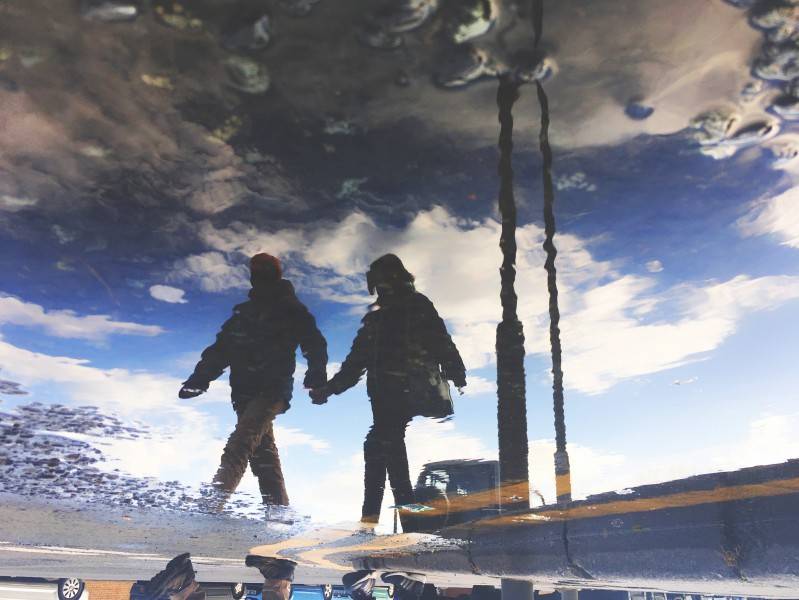 什么|下大雪了，就别遛柯基了吧……不然迟早被笑死！