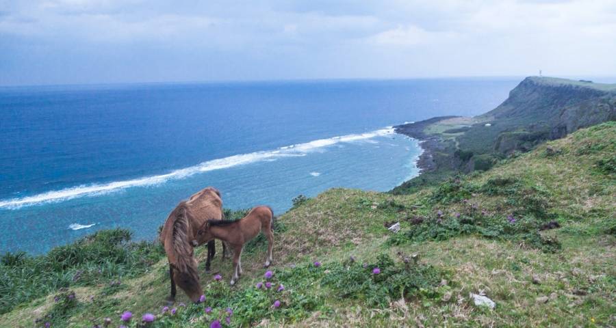 当头部企业都在换赛道,中小家电企业怎么办?抓住细分人群-家电圈官网