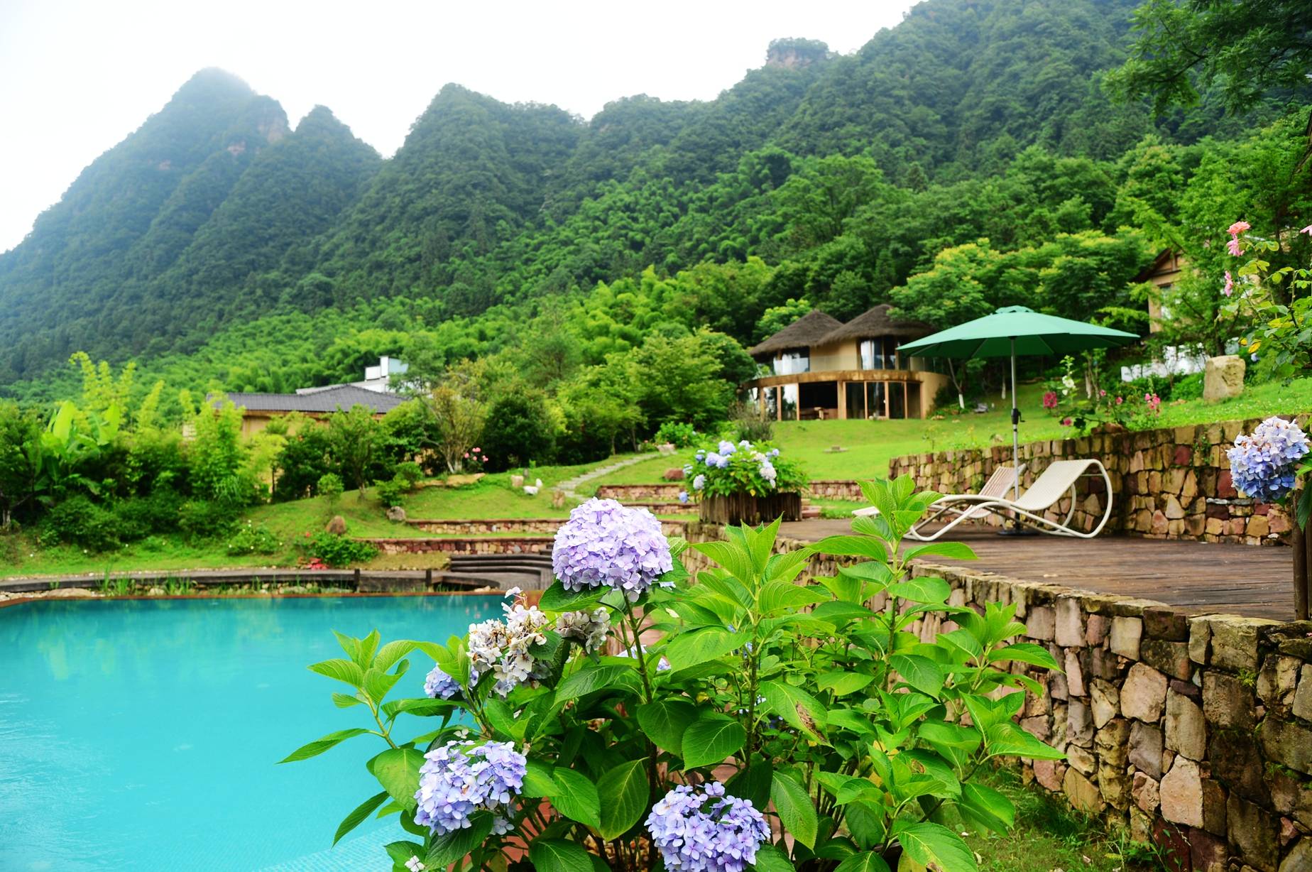 张家界梓山漫居盛夏花花世界惹人爱组图