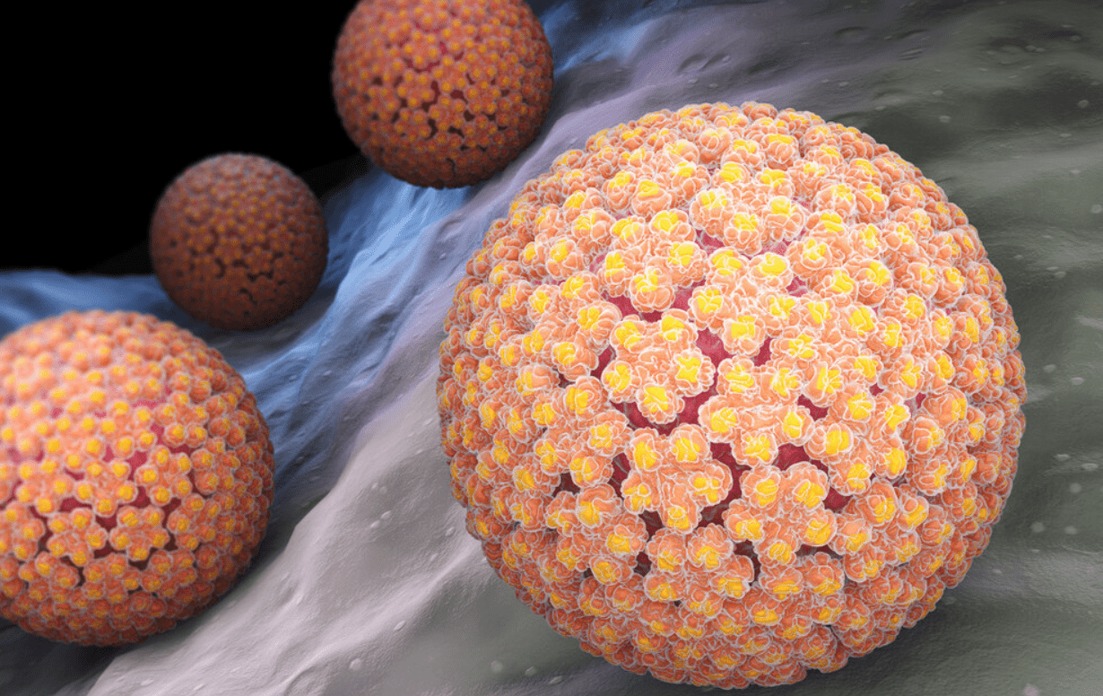 hpv病毒的感染率越来越高就连年轻女性被感染的人也是越来越多，一部分的