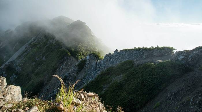 松下洗衣机转为战略跟随,折射中国家电产业的一变局三拐点-家电圈官网