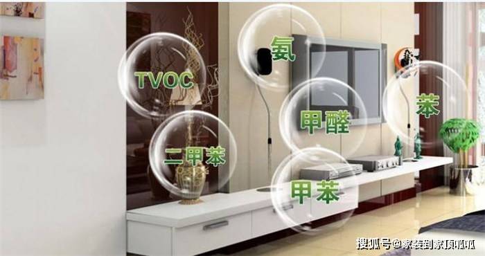 怎么除甲醛新房子 50e2db3677894035ae231a06cc2481d2.jpeg