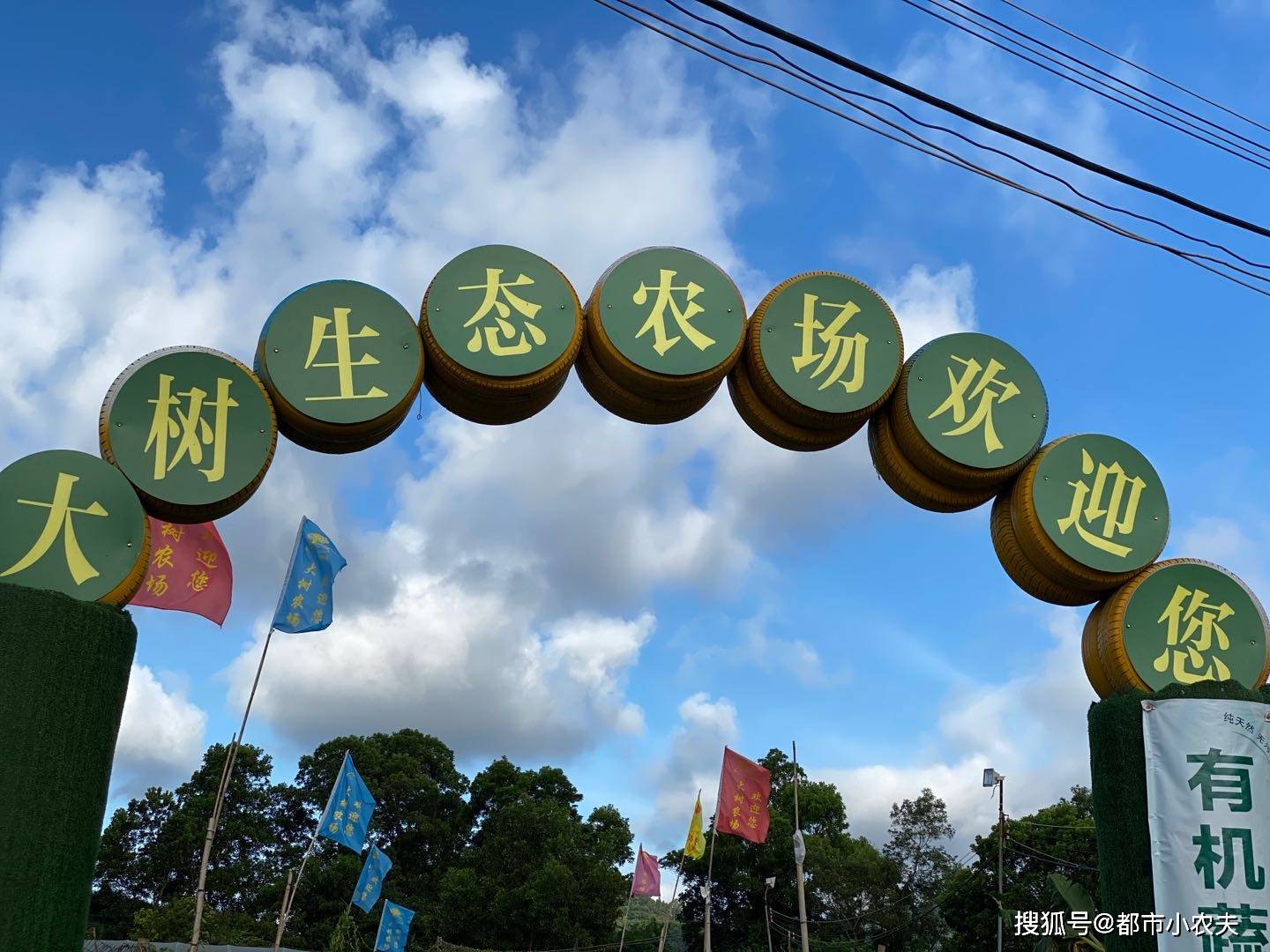 Kaiyun 开云体育暑假遛娃不知道去哪吗？那就选择人均消费168的深圳农家乐吧