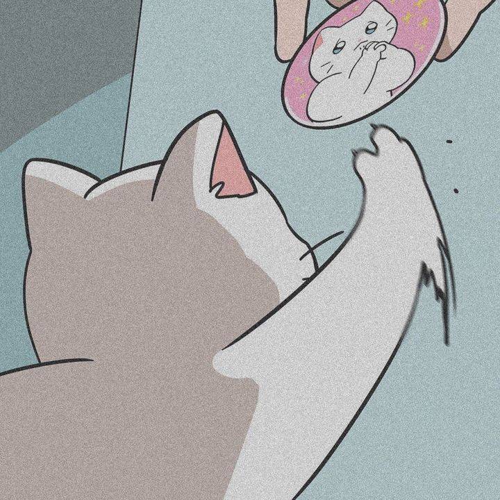 头像|有哪些一看起来就是情头的头像~