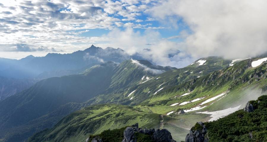 家电企业要坚定不移推动“以销定产”变革-家电圈官网