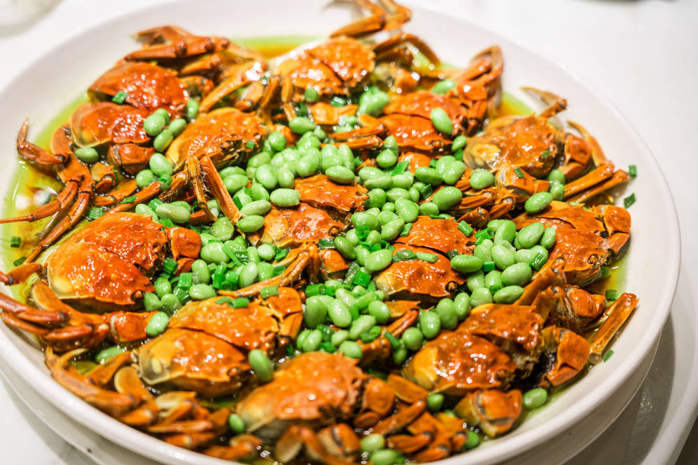 暑假去哪儿?来沙家浜感受水乡慢生活,距离上海约1小时车程