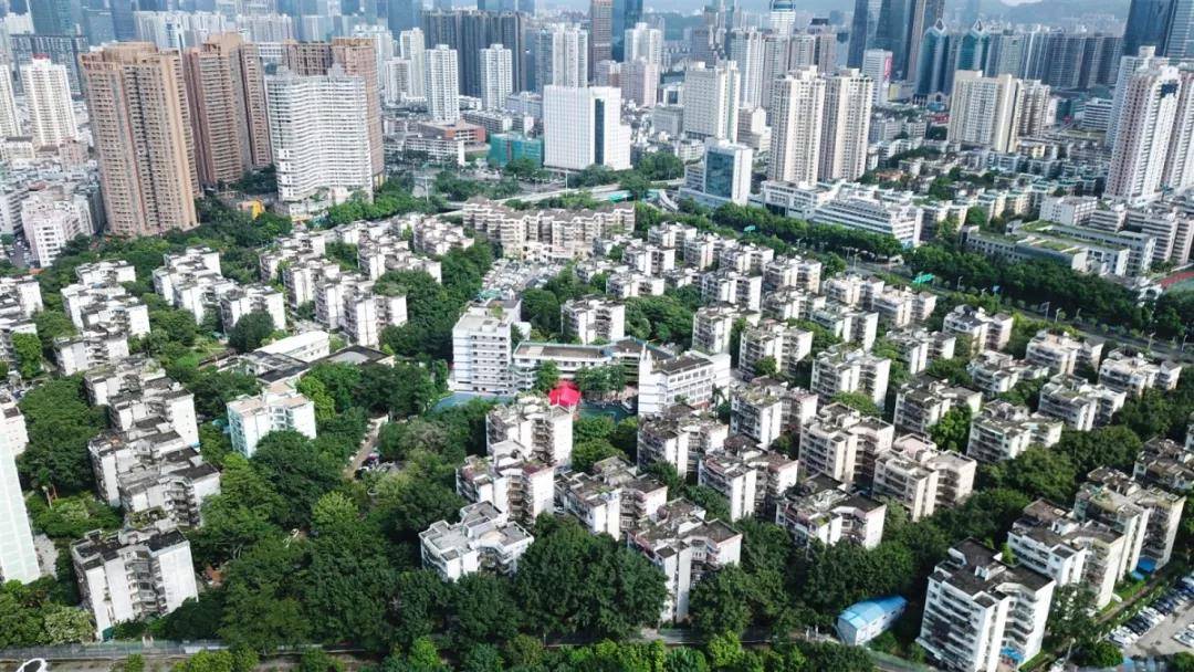 到后来被城市的发展边缘化,再到2018年被纳入深圳城中村改造项目,南华