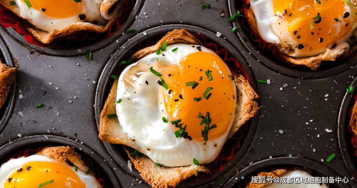 补充|想要强身健体效果显著吗?那就在早餐补充更多的蛋白质!