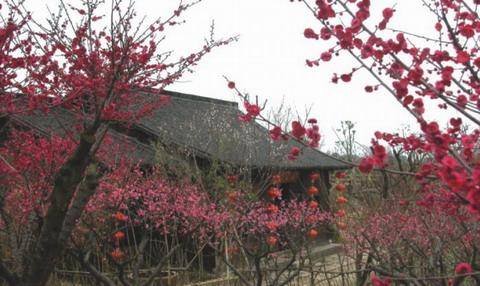 文化|西溪湿地公园