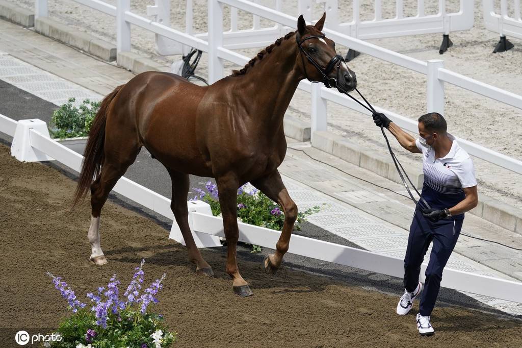 2020东京奥运会马术盛装舞步第一次马检