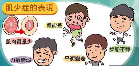 肝病患者须警惕肌少症,hmb守护肌肉健康_蛋白质