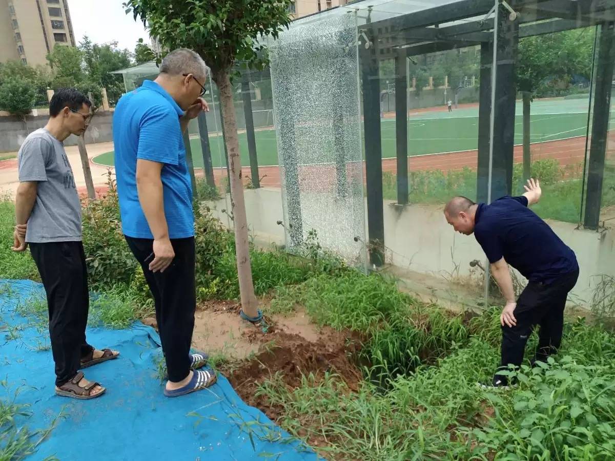 顺德李伟强医护学校图片