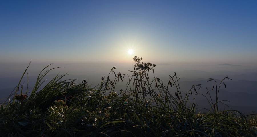 这年头家电企业们别再烧钱冲规模了-家电圈官网