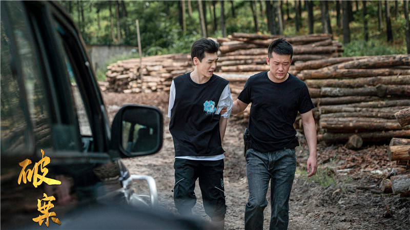 《胆小鬼》,《穿破黑夜》,《乔家的儿女》,《浴火》等多部电视剧也