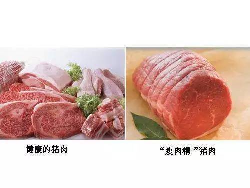 关注食品安全一文读懂瘦肉精检测