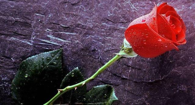 怎么样才能长久的保持新鲜感 9ec082d04b5a4e849d9c6354553bf0c4.jpeg