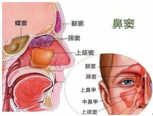 分不清感冒和鼻窦炎?贵阳铭仁耳鼻医院教你区分