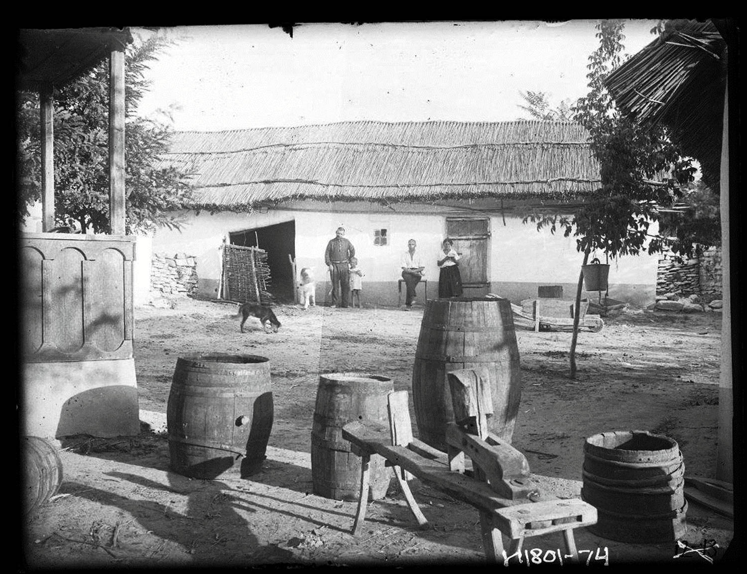 酿酒|珍贵史料 | 百年前摩尔多瓦民族竟如此酿酒?