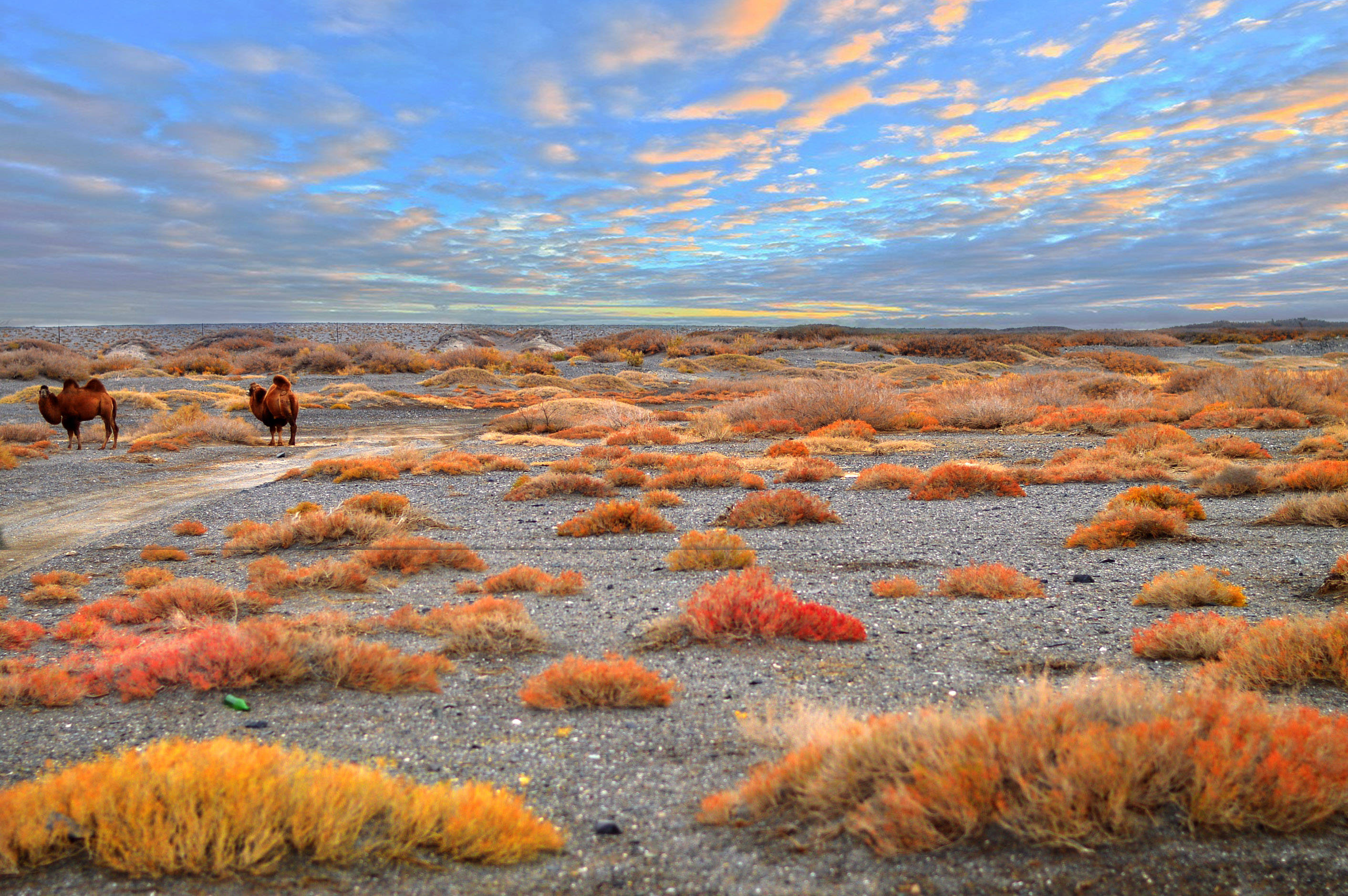 原创博尔塔拉10篇美景诗联作品