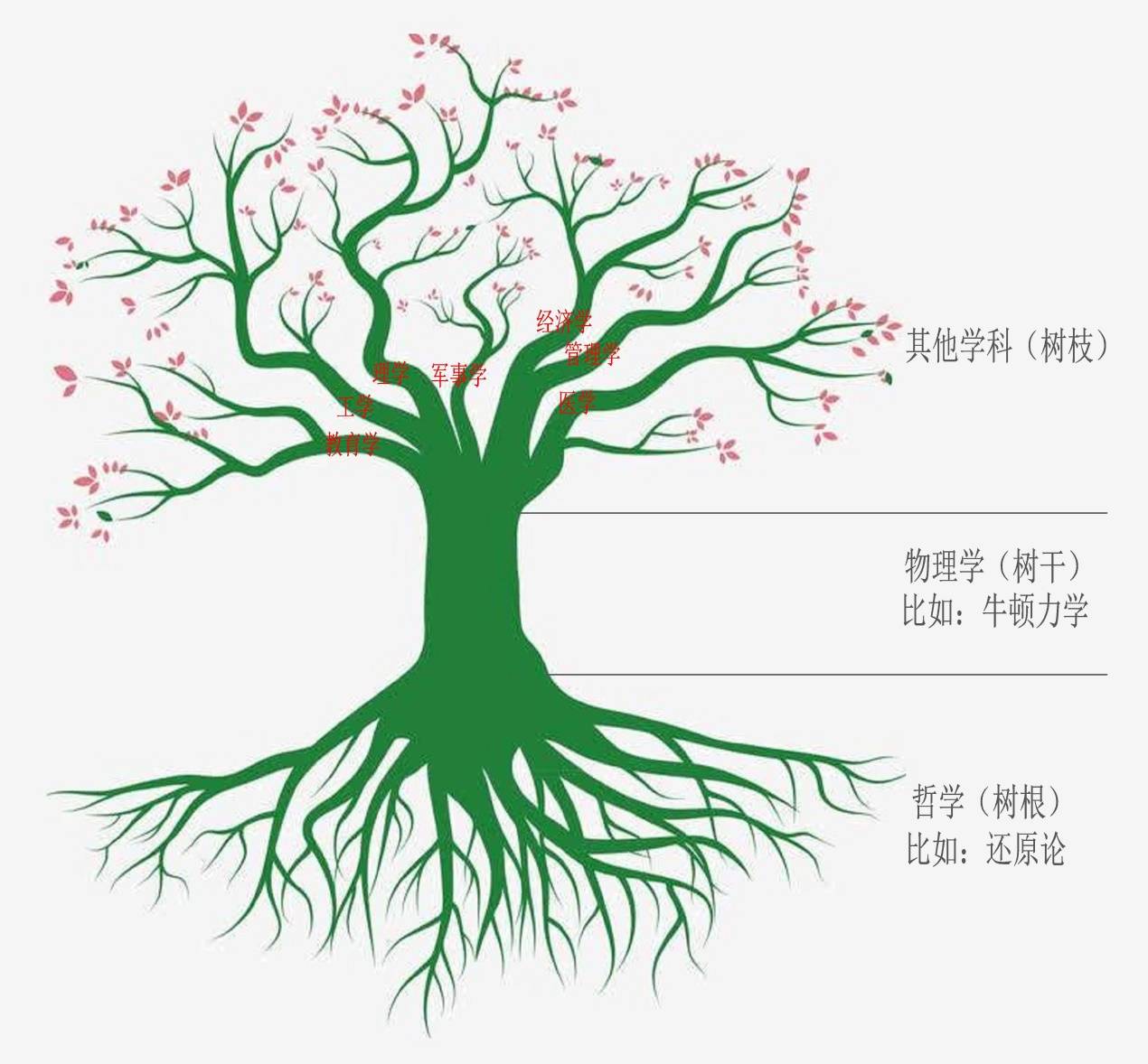 哲学之树