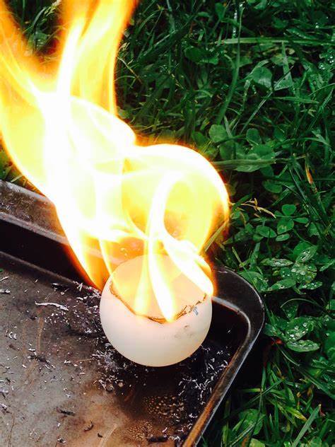 奥运冷知识:马龙使用的乒乓球曾是飞机违禁品_赛璐珞