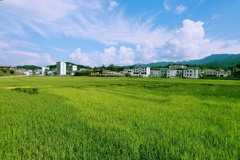 竹溪|来一场说走就走的旅行 夏日宝藏旅行地湖北竹溪