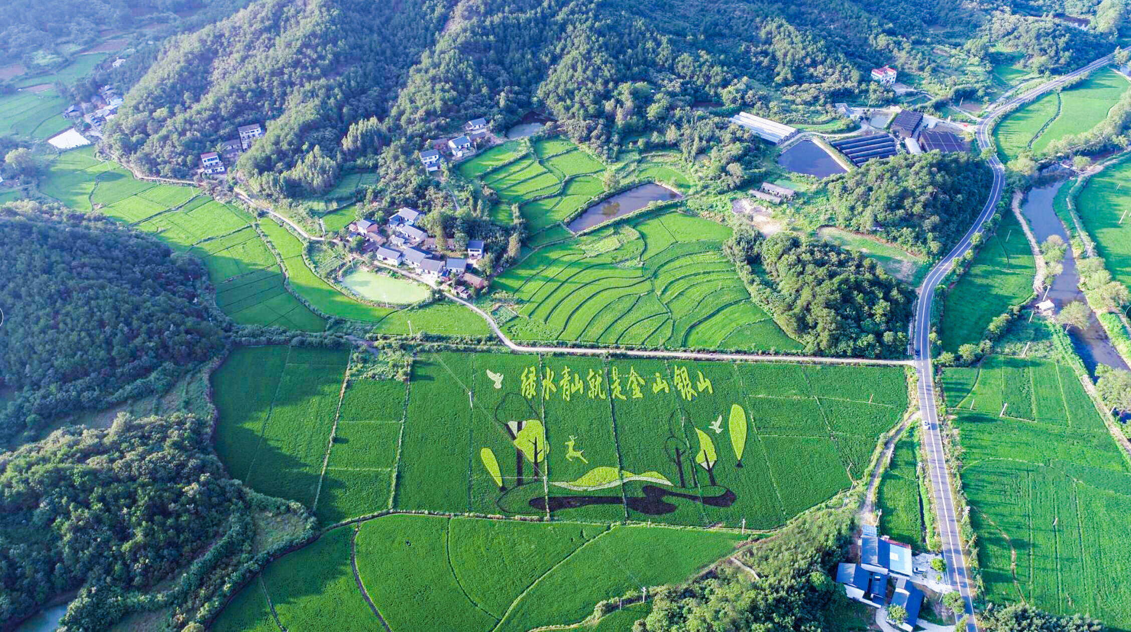 罗山灵山镇全域旅游建设步入快车道