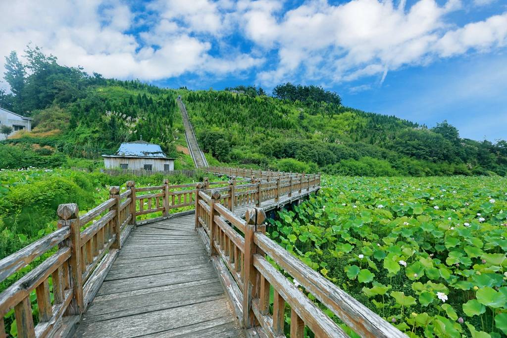 竹溪|来一场说走就走的旅行 夏日宝藏旅行地湖北竹溪