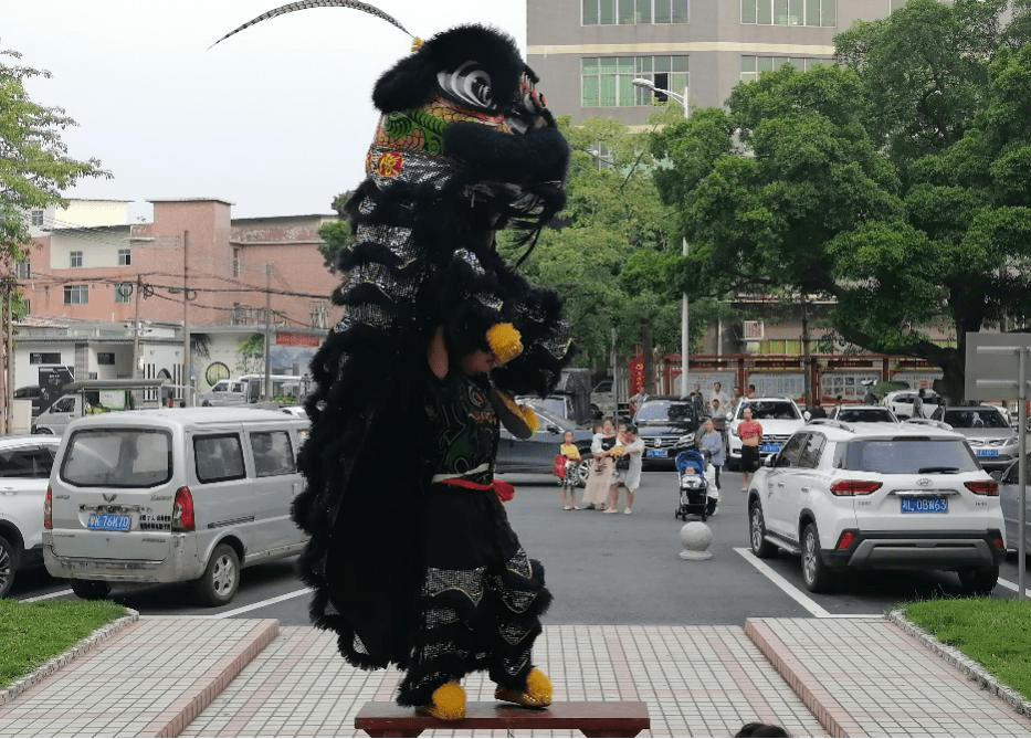 湛江学子"三下乡":保护非物质文化遗产,弘扬传统醒狮文化