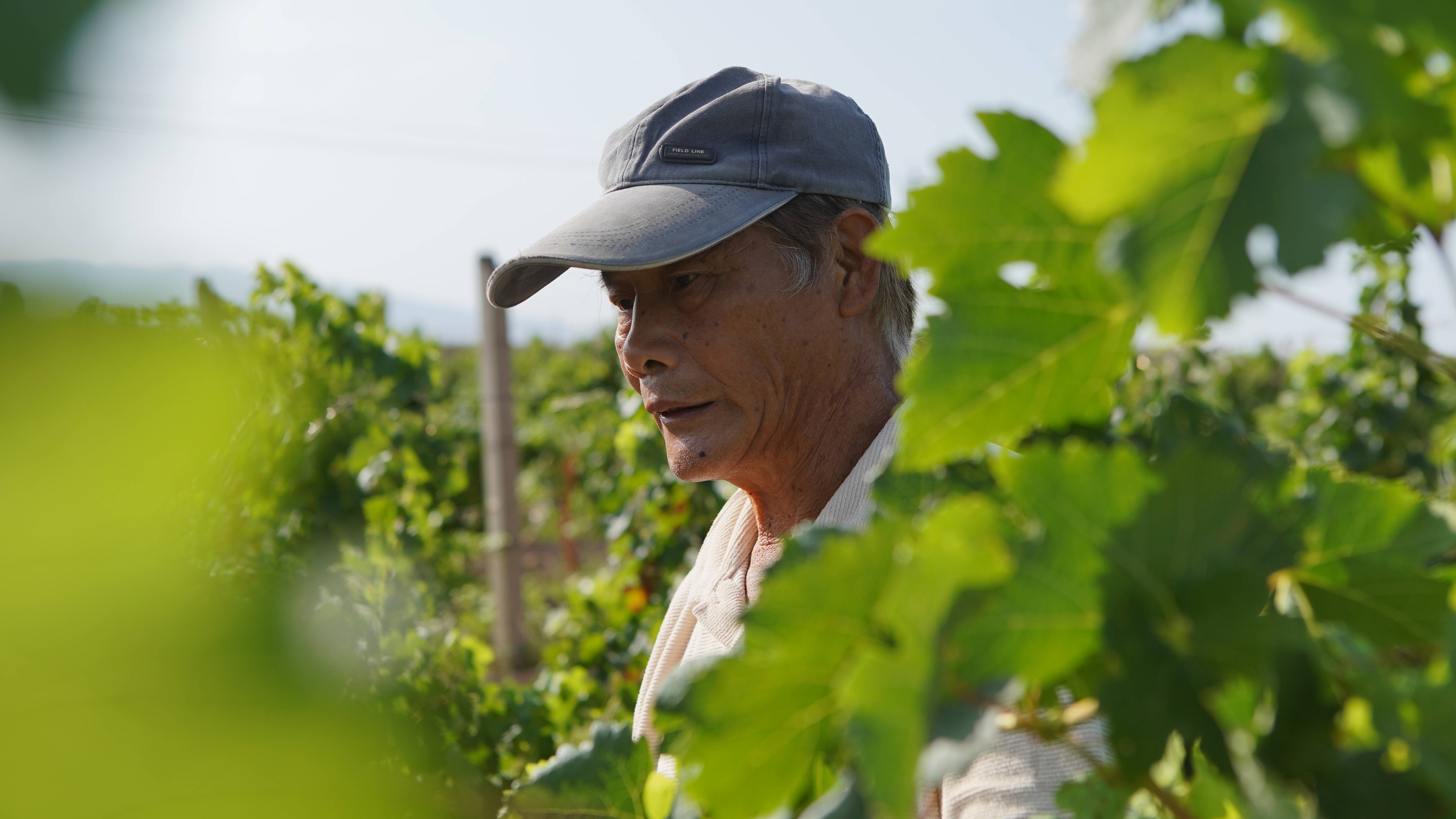 品牌|《2021中国好声音》开播!今年的葡萄酒赞助品牌怎么有点眼熟?