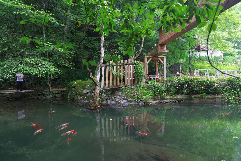 竹溪|来一场说走就走的旅行 夏日宝藏旅行地湖北竹溪