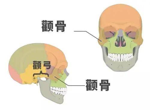 颧骨|圣嘉新邱立东：改脸型常见问题解答（二）