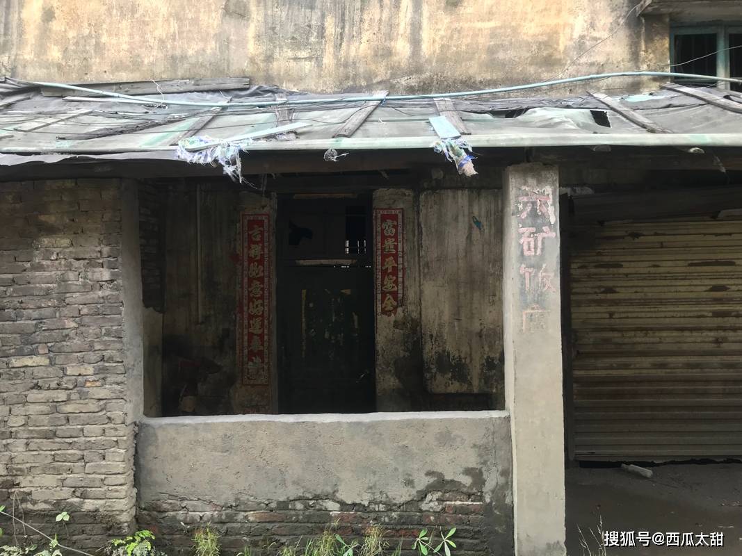 文章配图-6