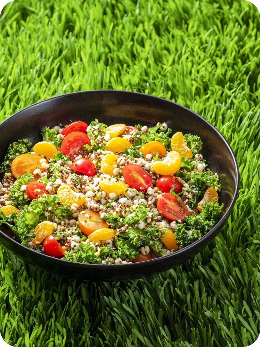 飲食|輕食簡餐彩色土豆堡餐飲界的＂減法＂，消費者的新寵兒