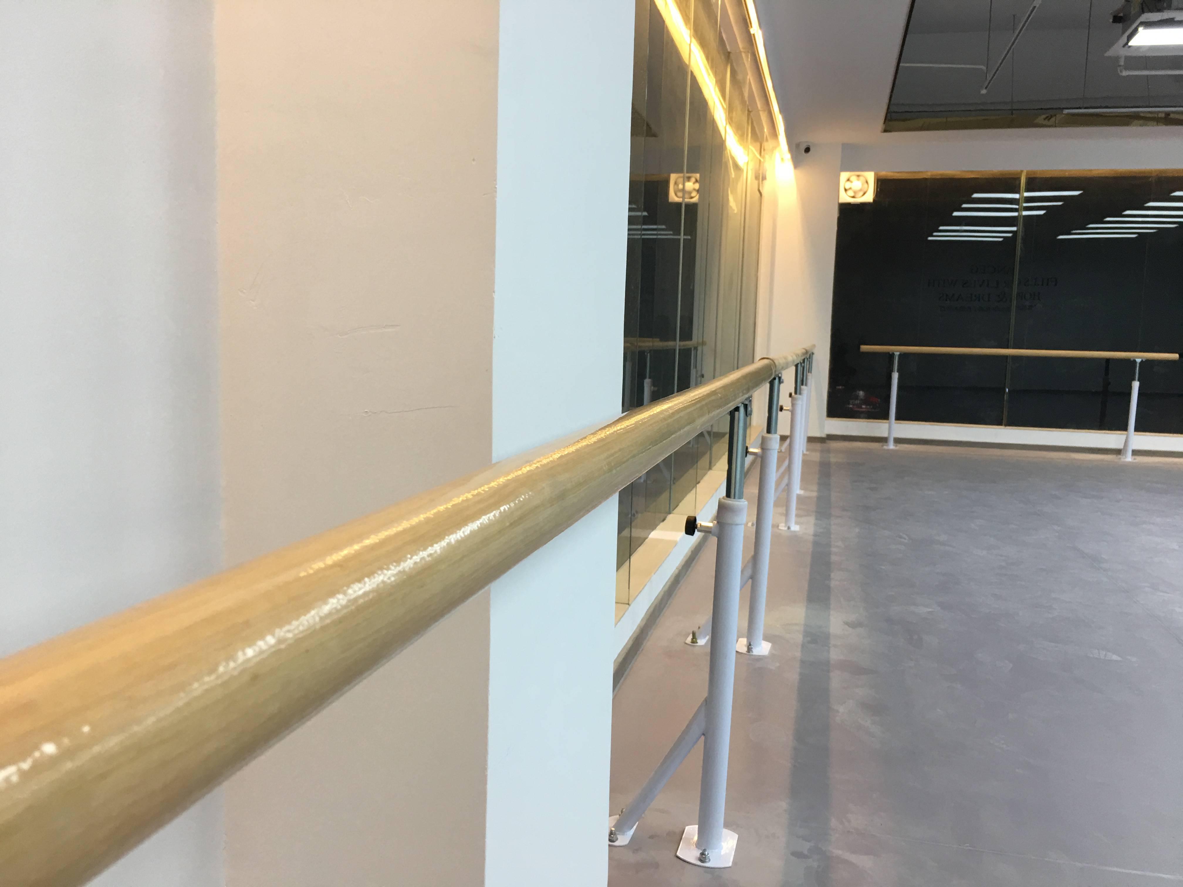 舞蹈地胶地垫健身房pvc专业专用教室塑胶运动地板室内芭蕾幼儿园