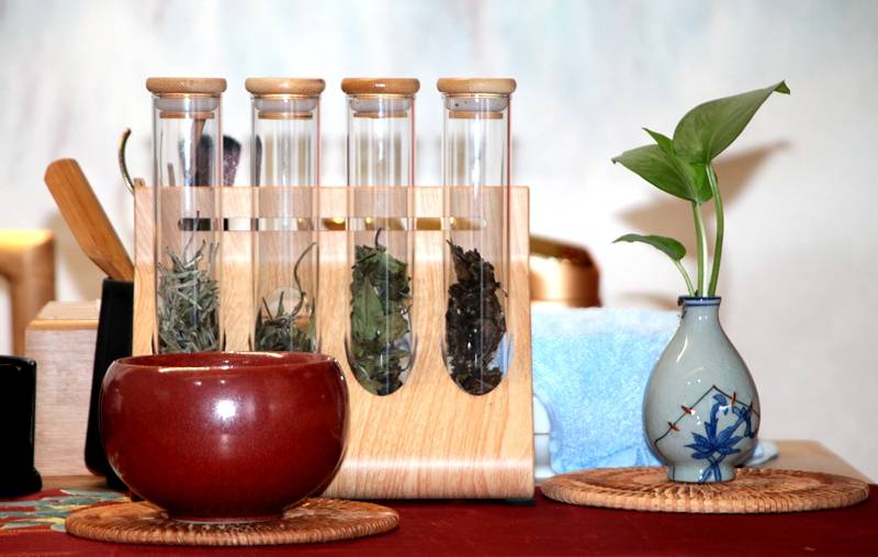 始祖|“绿雪芽”白茶——中国福鼎大白茶始祖