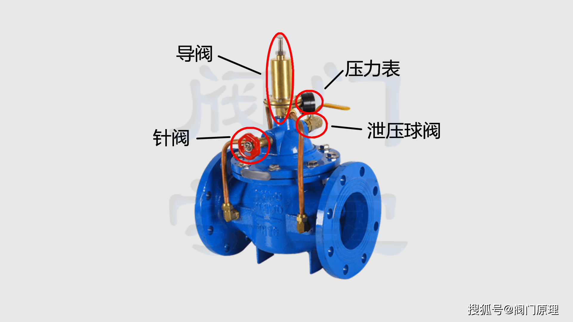 b50针阀恒压阀图片