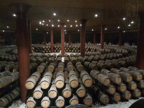 釀酒|安徽亳州釀酒技術-貴露霄-釀酒張奇-葡萄酒的陳釀階段