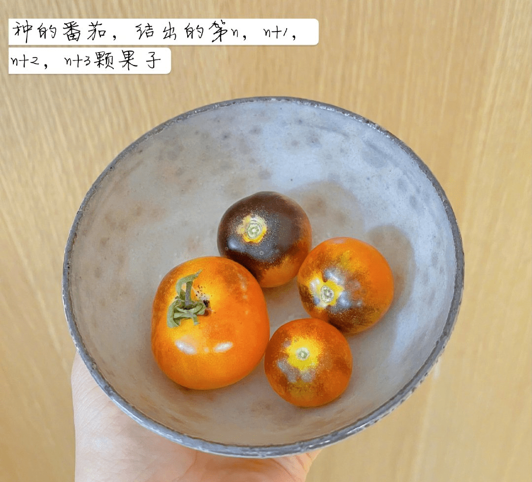 孫儷的生活日記火了，泡茶做飯畫畫錄歌，網友：越優秀的人越自律 熱愛美食 第4张