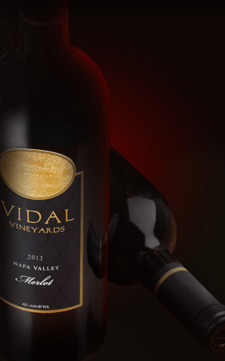 梅洛葡萄最受欢迎的葡萄品种之一