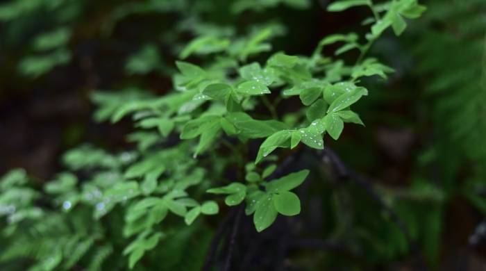 真是没有想到！卖家电的还在但修家电的却快消失了-家电圈官网