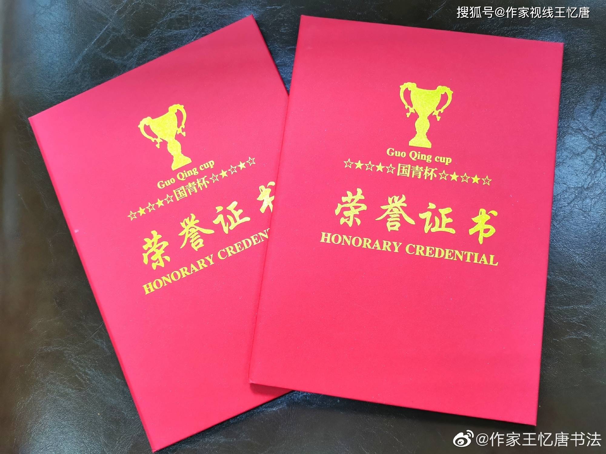 高新学院王印堂(王忆唐)老师获"国青杯"高校艺术设计大赛两个一等奖