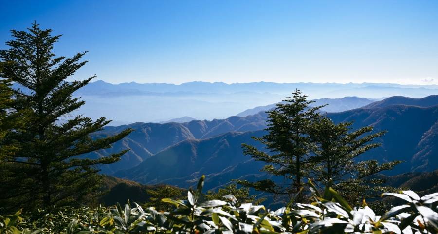 六部门出手纾困线下零售,家电经销商如何引来东风?-家电圈官网