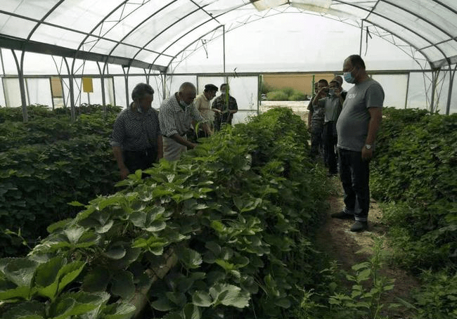 想学农业种植技术去哪里学 想学农业种植技术去哪里学好