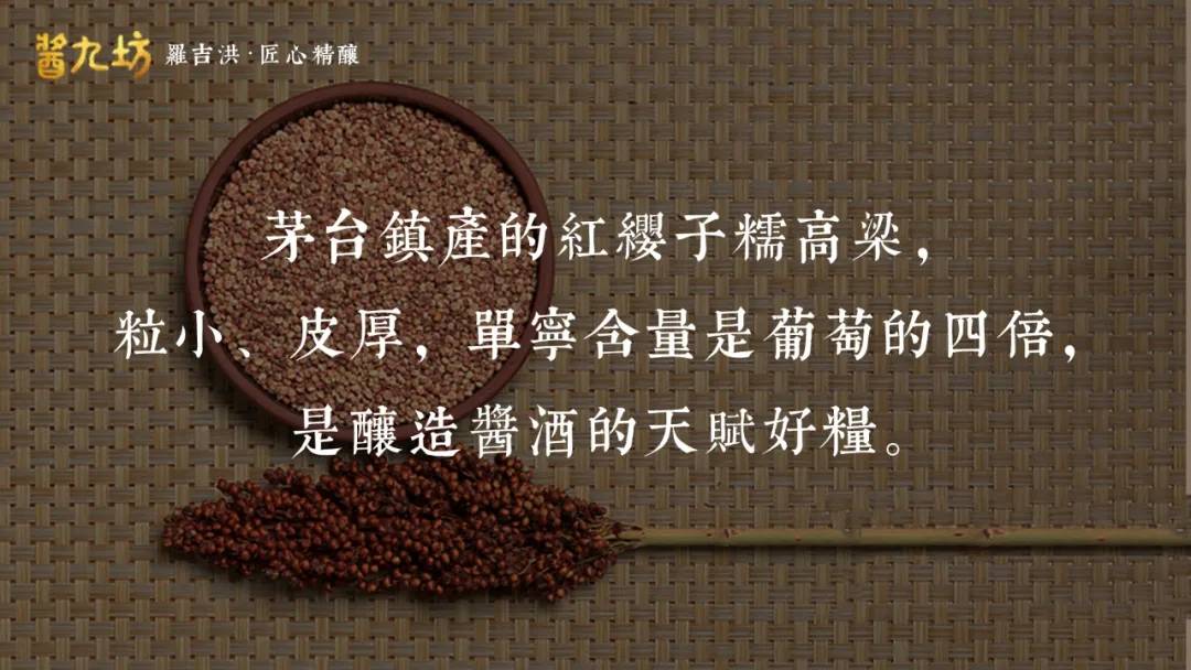 酿酒|酱九坊观点 | 为什么糯高粱酿造的酱酒最香。