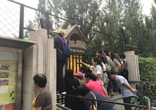 家长|娃一入园就哭闹？做好这“六要六不要”，搞定分离焦虑很简单