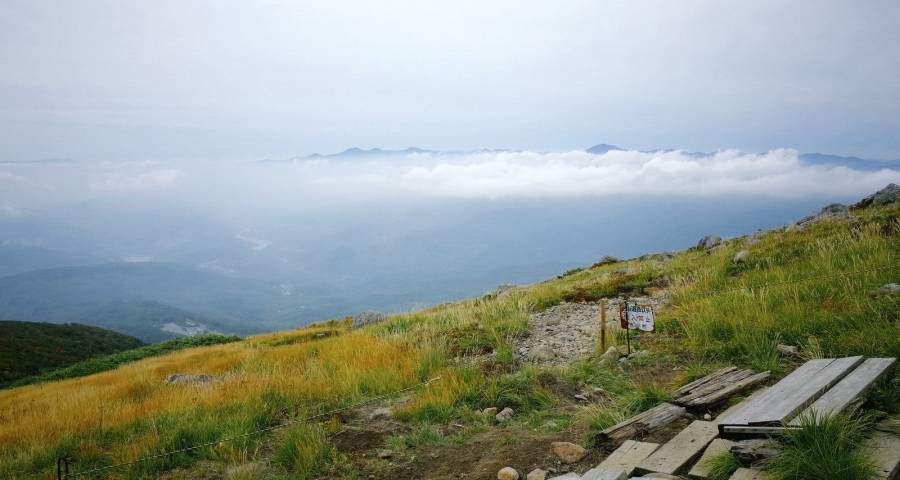 面对市场困难家电厂商只能这么干!-家电圈官网